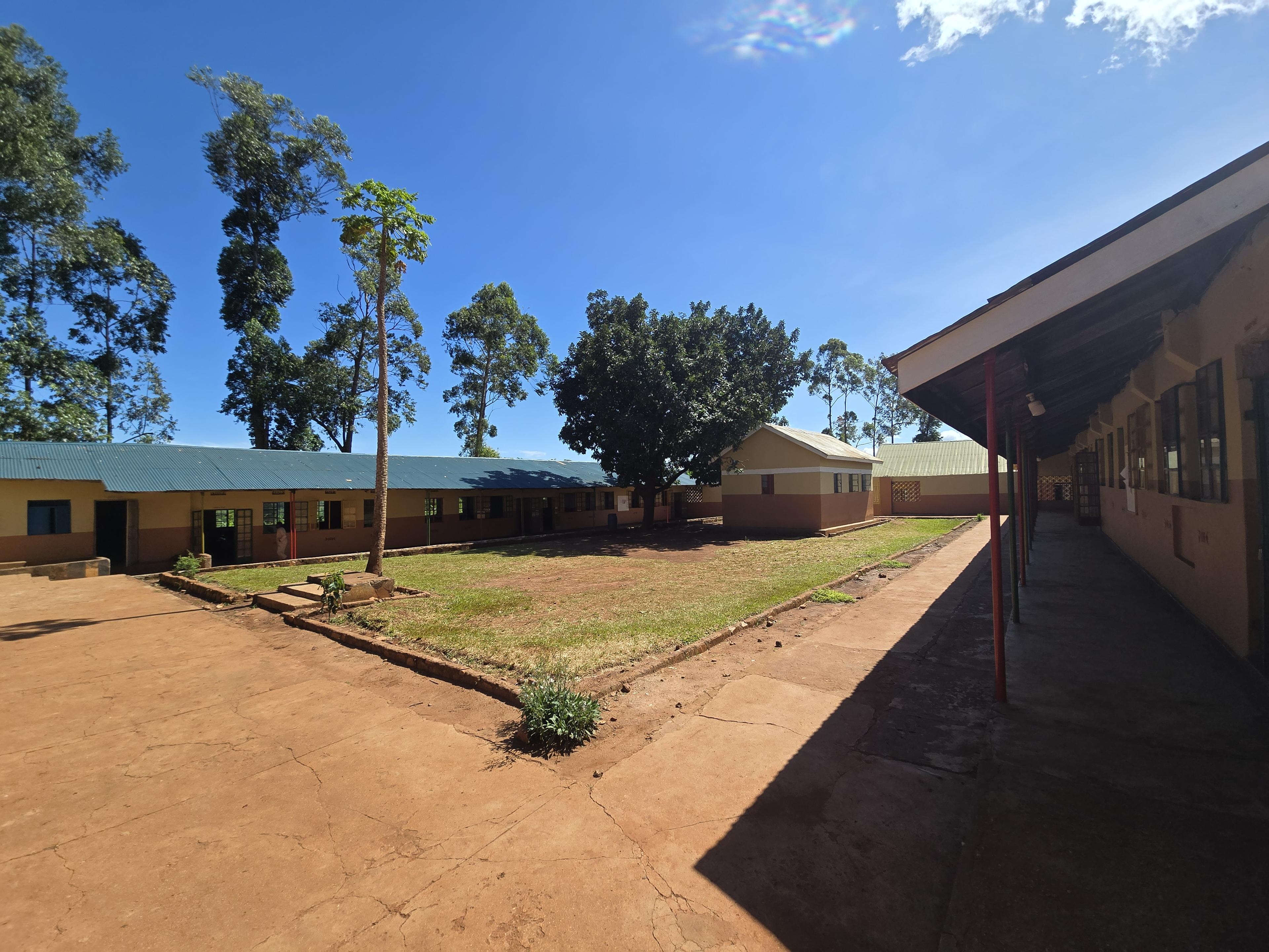 Primary Education